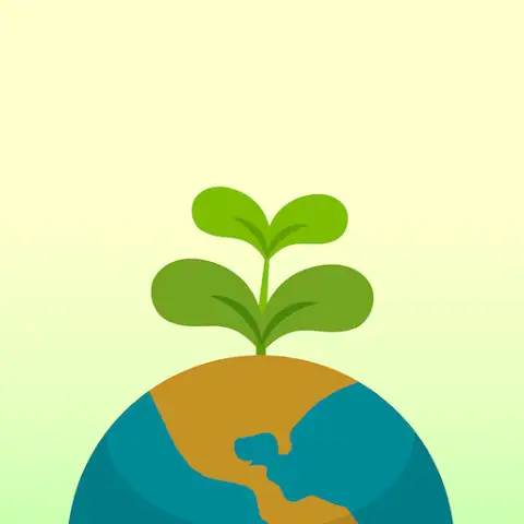 Healthy plant growing from the earth, symbolising sustainability and environmental care.