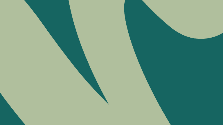Logo of Best For You organisation with abstract green and teal shapes.